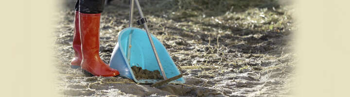 mistboy kategorieeinstiegsbanner